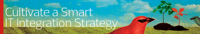 M&A WP CTA
