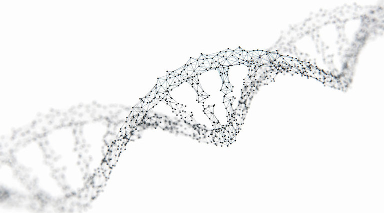 DNA